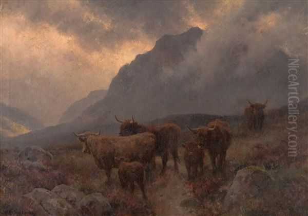 Highland Cattle - view 1