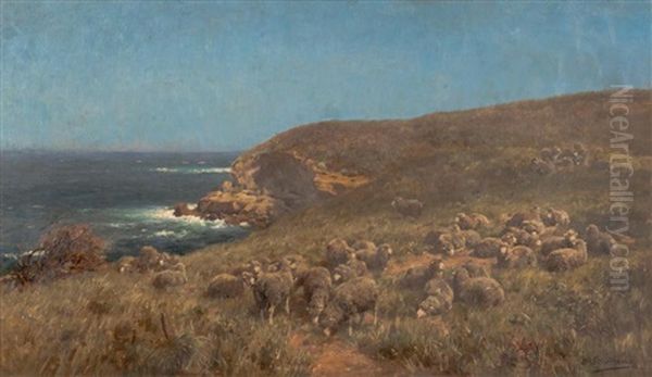 Sheep On The Southern Victorian Coastline - view 1