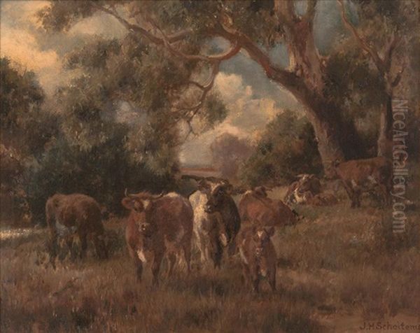 Resting Cattle - view 1