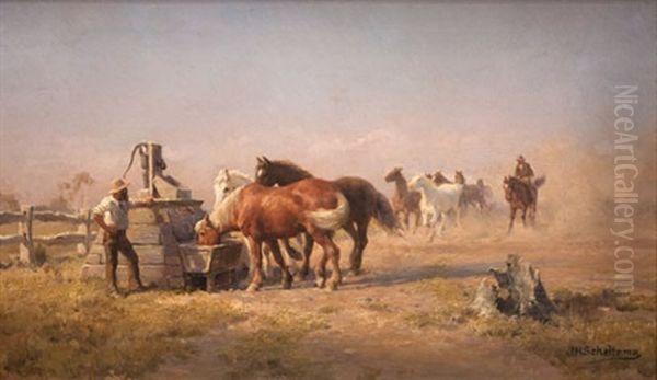 Watering Hole - view 1