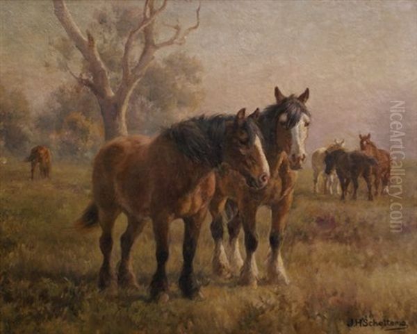 Horses Grazing - view 1