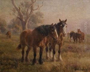 Horses Grazing