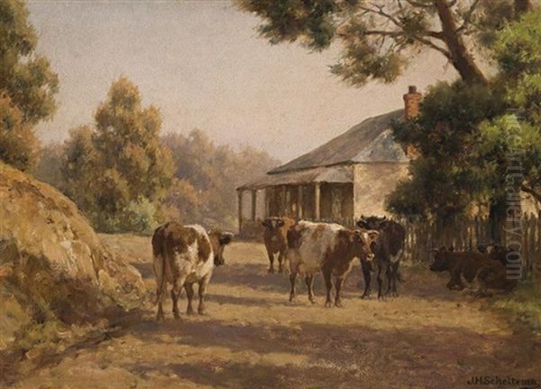 In The Morning Sun, Blackwood, Victoria - view 1