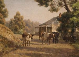 In The Morning Sun, Blackwood, Victoria by Jan Hendrik Scheltema