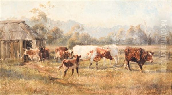 Cattle In A Farm Landscape - view 1