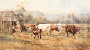 Cattle In A Farm Landscape Cattle In A Farm Landscape