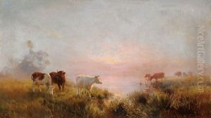 Cattle In Morning Light Cattle In Morning Light
