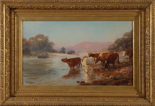 Cattle Drinking - view 1