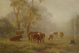 Cattle In The Early Morning Cattle In The Early Morning