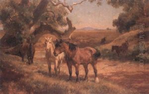Horses Grazing Horses Grazing