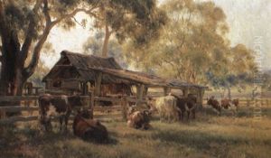Cows, Early Morning Cows, Early Morning