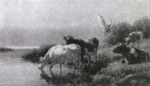 Cattle Drinking - view 1