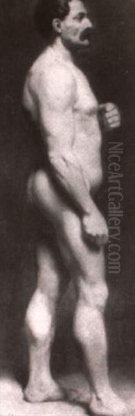 Studio Nude - view 1