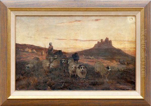 Troupeau De Moutons - view 1