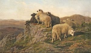 Sheep On The Hill by August Friedrich Albrecht Schenck