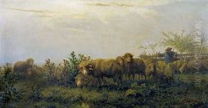 Auf Der Weide