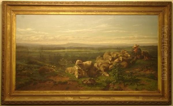 Shepherd With His Flock - view 1