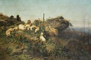 Berger Et Ses Moutons