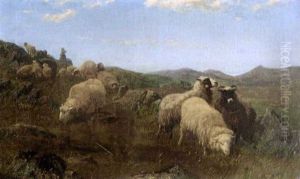 Moutons Au Paturage