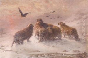 Sheep On A Snowy Mountainside by August Friedrich Albrecht Schenck