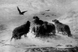 The Lost Little Flock The Lost Little Flock