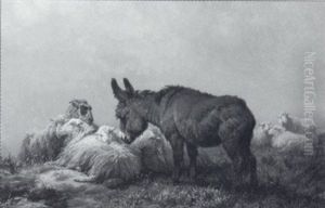 Ruhende Schafe Mit Eselchen by August Friedrich Albrecht Schenck
