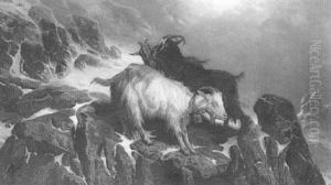 Troupeau Dans La Montagne by August Friedrich Albrecht Schenck