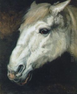 Head Of A Horse