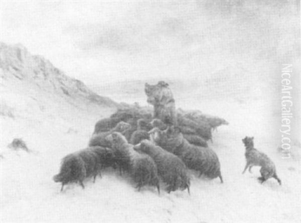 A Shepherd And His Flock At Twilight - view 1