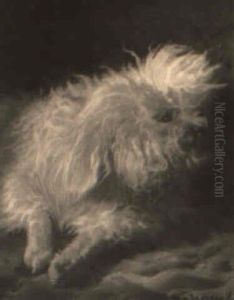 Poodle With A Blue Bow