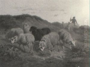 Drover With Sheep In Landscape