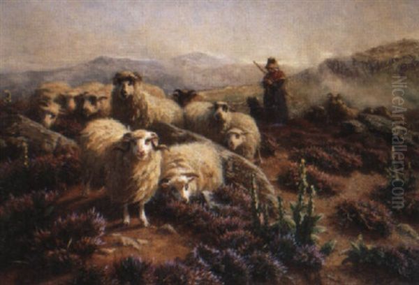 Les Merinos Dans La Montagne - view 1