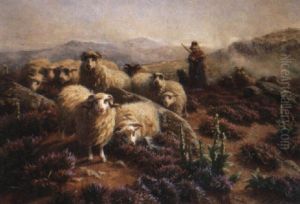 Les Merinos Dans La Montagne Les Merinos Dans La Montagne