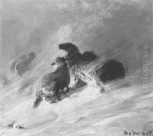Sheep In A Blizzard Sheep In A Blizzard