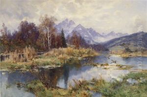 Bergsee Mit Enten