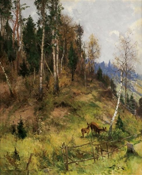 Rehe Am Waldrand - view 1