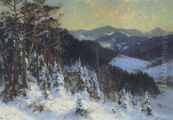 Sonnige Winterlandschaft - view 1