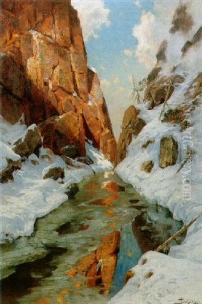Winterlicher Bergbach In Felsiger Schlucht - view 1