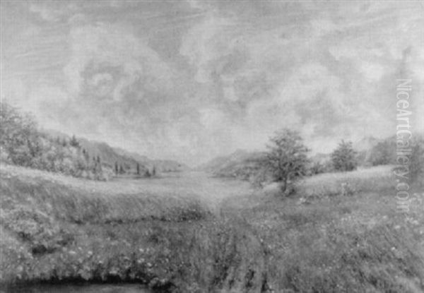 Sommerlandschaft Mit Spielenden Kindern Auf Einer Wiese - view 1