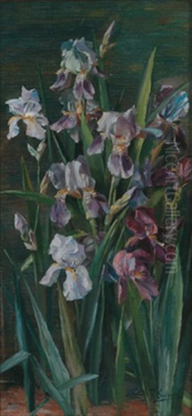 Lilien - view 1