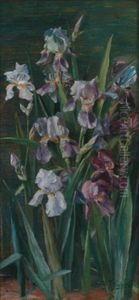 Lilien by Rosa Scherer