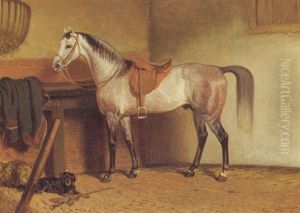 A Saddled Grey Horse In A Stable