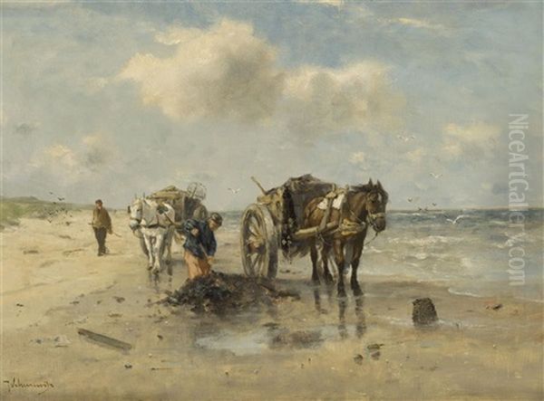 Gathering Wrack - view 1