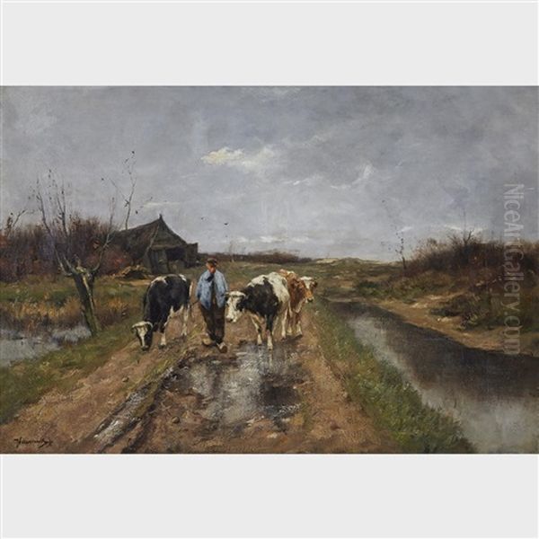 Farmer Leaving The Outbuilding With His Three Cows - view 1