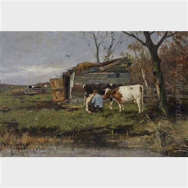 Farmer Milking His Three Cows By An Outbuilding - view 1