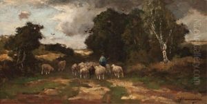 Shepherd And Flock