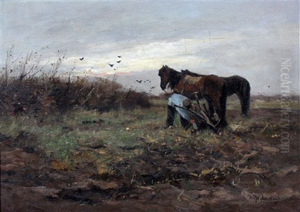 Boer Met Paarden Op Het Land - view 1