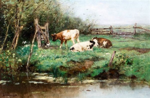 Kalveren In Weidelandschap Achter De Duinen - view 1