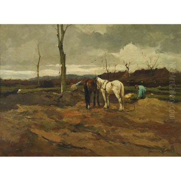 Drawing Out The Timber - view 1