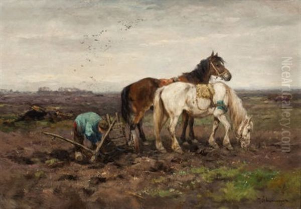 The Ploughman - view 1